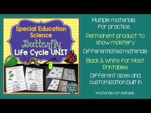 Science in Special Education: Butterfly Unit