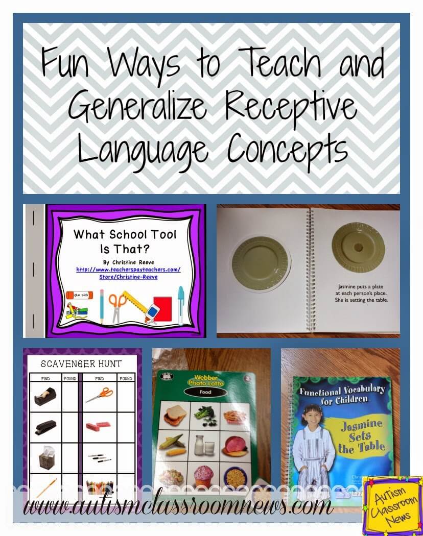 Fun Ways to Teach and Generalize Receptive Language Concepts (FREEBIE