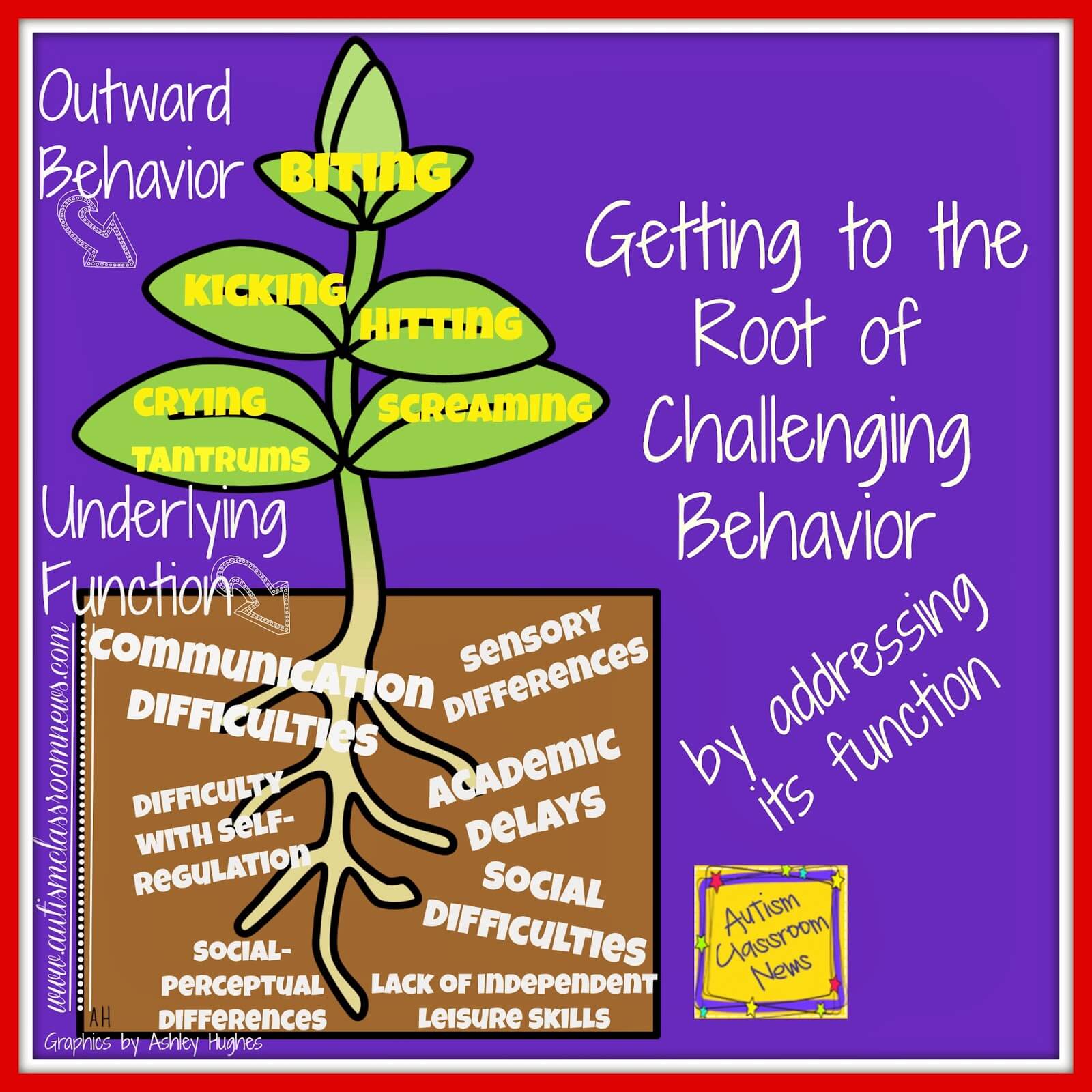essay on challenging behaviour