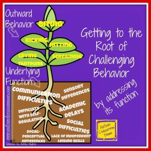 getting-to-the-root-of-challenging-behavior