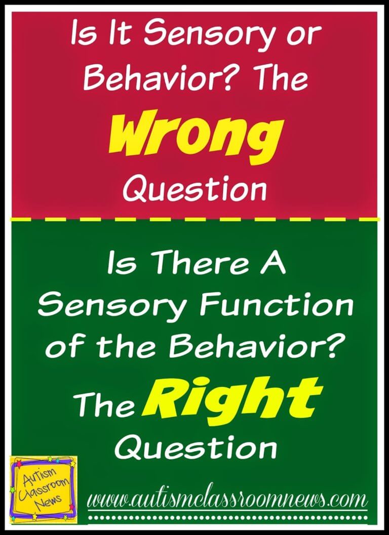 Is it Sensory or Behavior? The WRONG Question--Here's Why I think so along with some tips to address challenging behaviors that are functioning to mediate sensory needs.