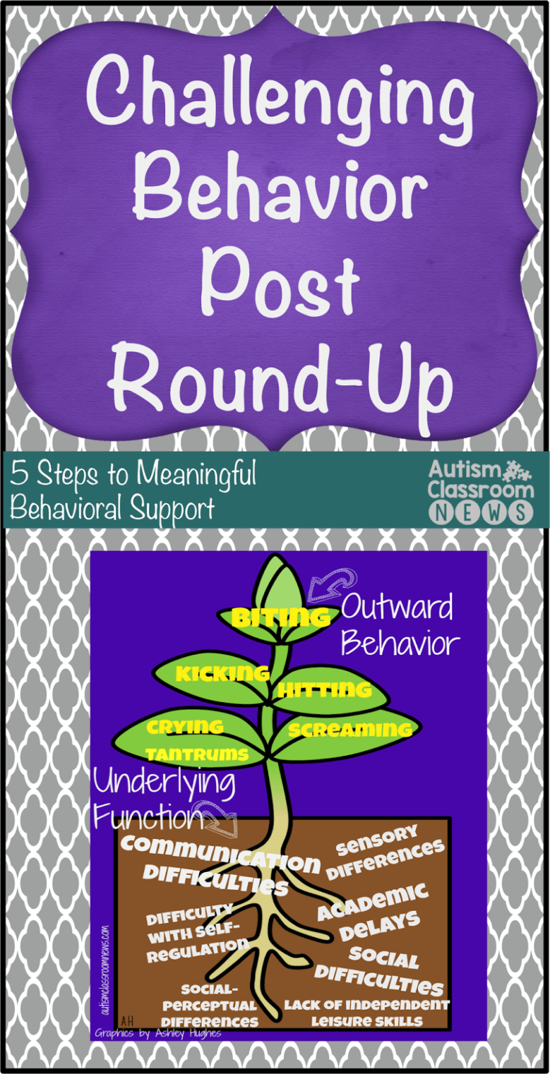 5 Steps to Meaningful Behavioral Support Post Round-Up - Autism ...