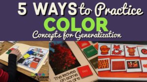 Life is not discrete trials--our students have to generalize. Whether you are teaching students with autism or any other need in special education, you want your students to be able to use what they learn. Here are 5 ways to work on generalization of color concepts.