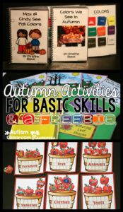 Autism Autumn Activities for Basic Skills and a Freebie--Autism Classroom Resources