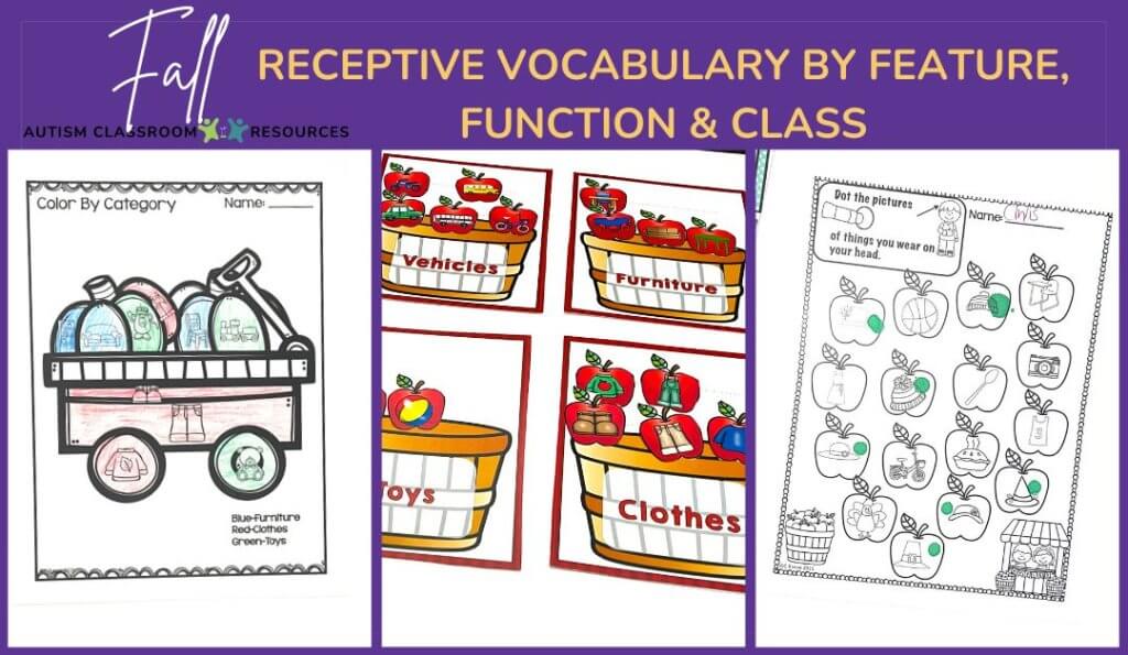 Receptive Feature Function Class Fall Autism Classroom Resources