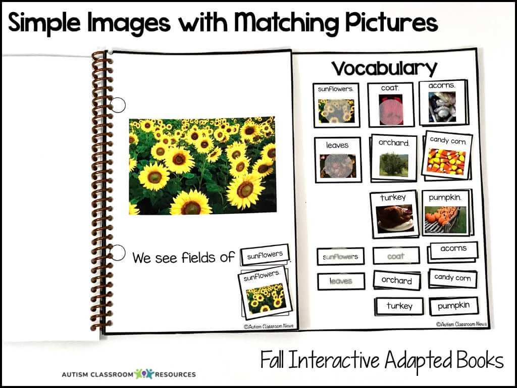 An open spiral-bound book shows a photo of sunflowers on the left page with text We see fields of and a matching picture card labeled sunflowers. The right page features fall vocabulary and images, great for reading IEP goals for nonverbal students.