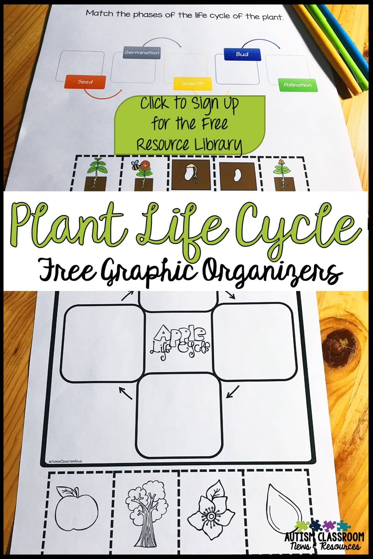 Free plant life cycle graphic organizers
