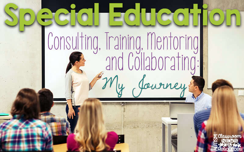 special education consulting jobs