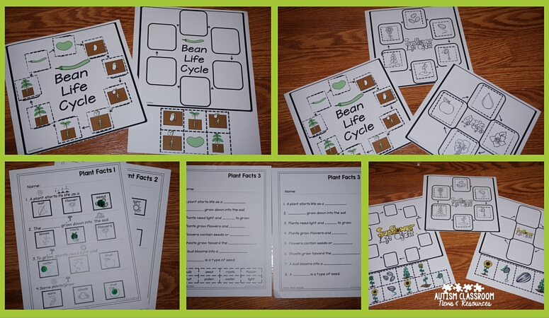 Workproduct materials for assessment for Plant Life Cycle Unit for Special Education