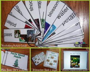 Science in the Special Education Classroom-Plant Life Cycle Activities for presenting information.