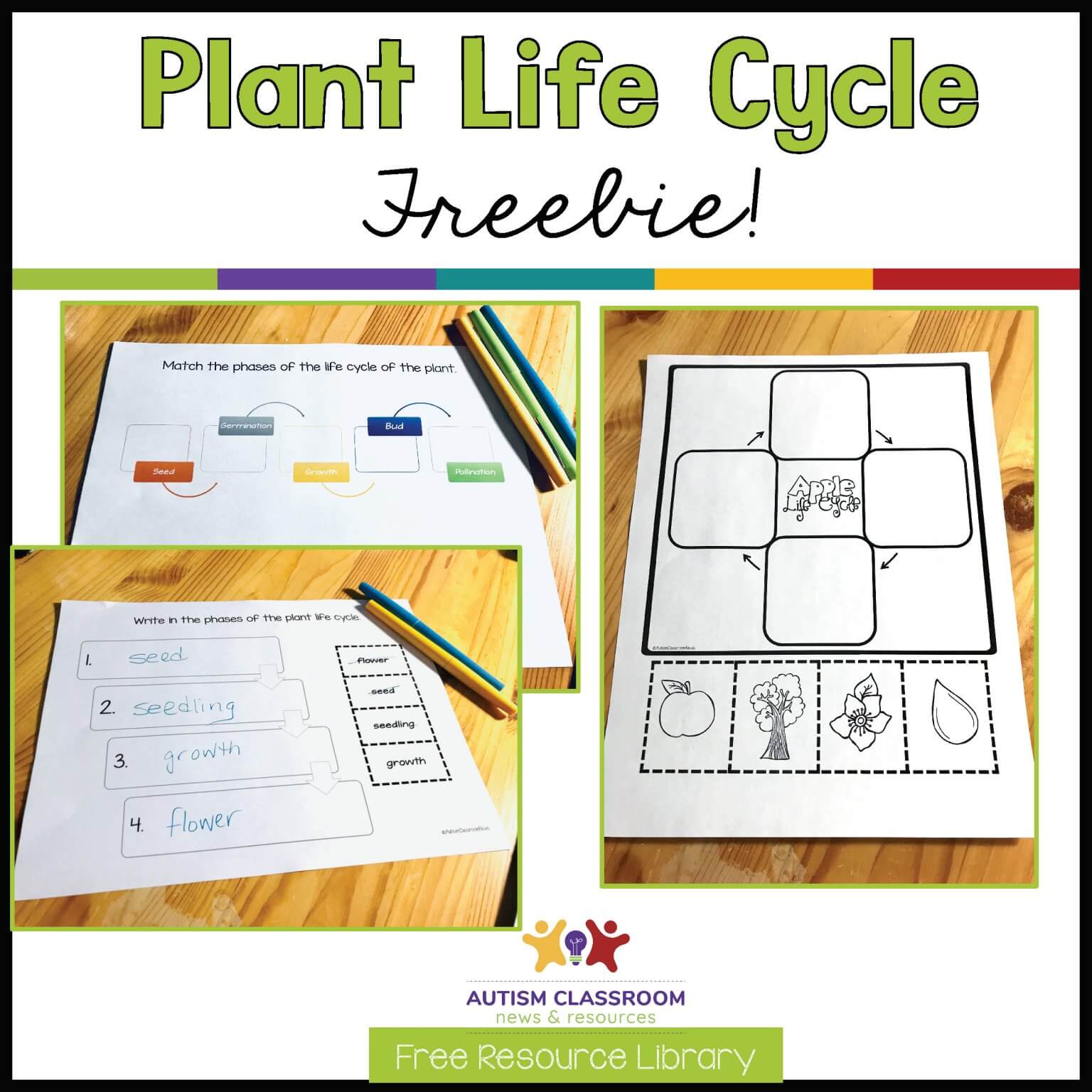 Science in the Special Education Classroom: Plant Life Cycle Activities ...