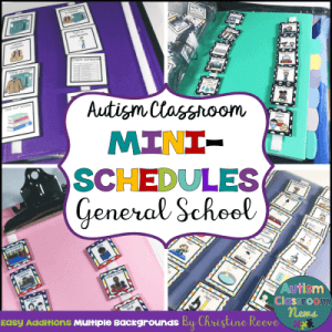 Autism Classroom Mini-Schedules General School