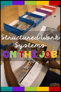 STRUCTURED WORK SYSTEM on the job