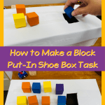 Independent Work Inspiration: To Make a Block Put-In Shoebox Task