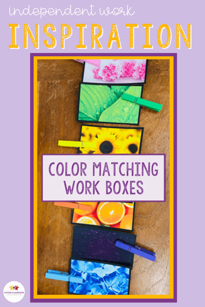 Independent Work Inspiration Color Matching Task With Clothespins