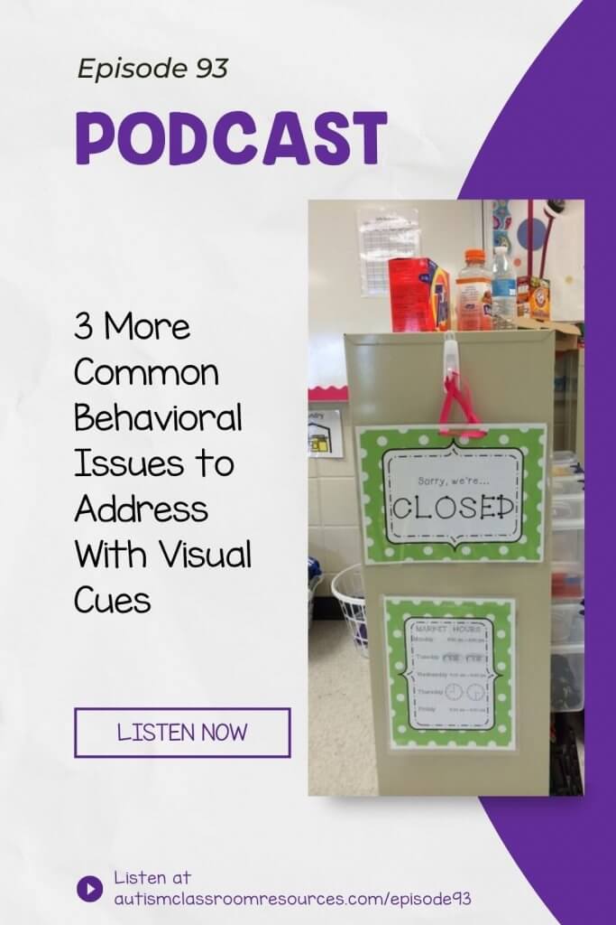 3 More Common Behavioral Issues to Address With Visual Cues