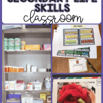Setting Up a Secondary Life Skills Classroom (Graphic with Life Skills support examples)