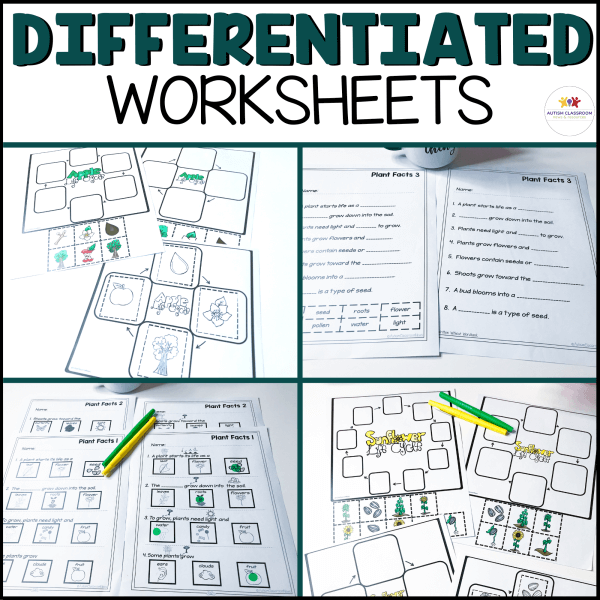 Differentiation Worksheets for the Plant Life Cycle