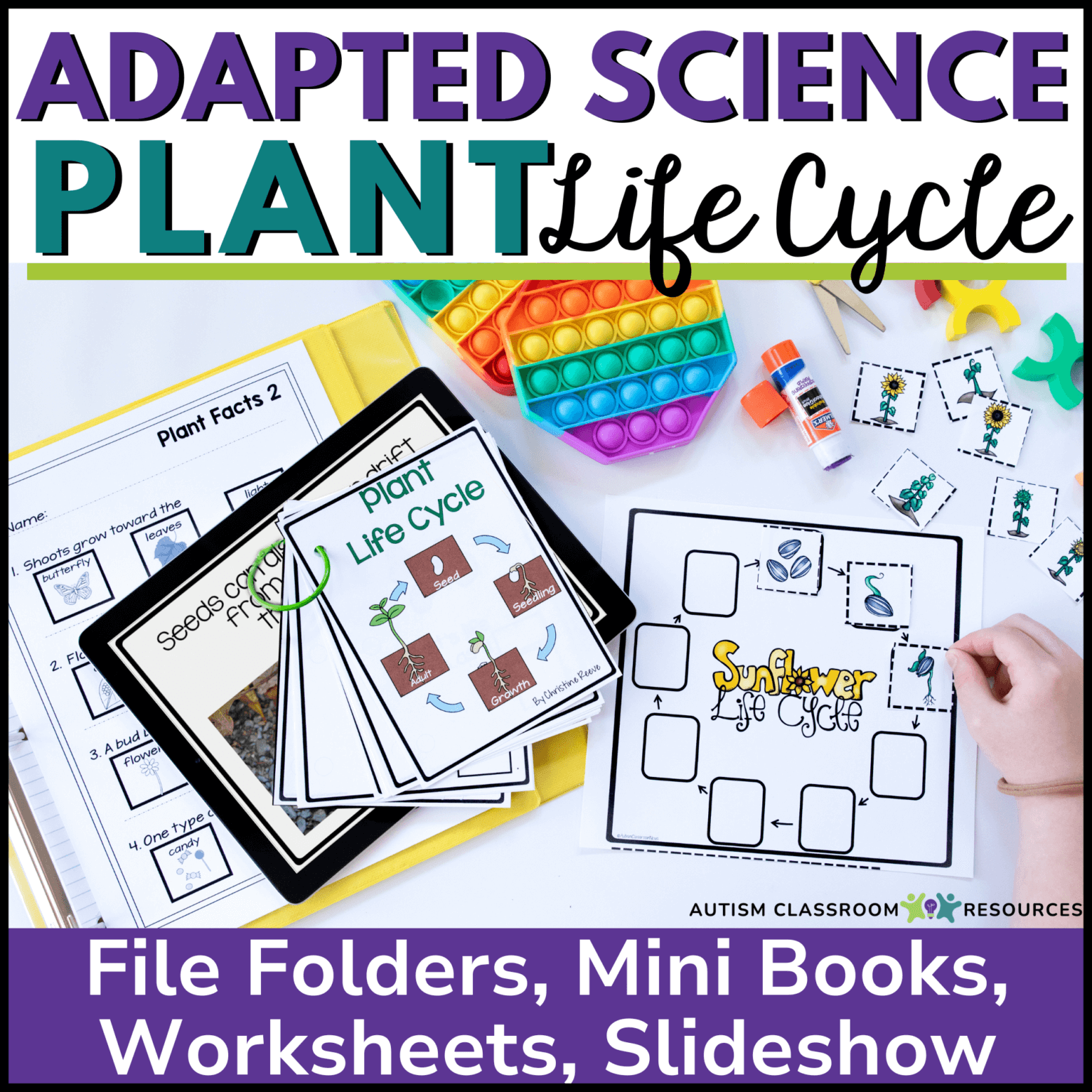 Plant Life Cycle and Butterfly Life Cycle Science Units for Special ...