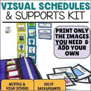 The Visual Schedule for Autism Life Skills Special Education Visual Supports includes colorful activity cards, a binder with schedule cards, and a sign to print only what you need or add your own images—perfect for middle and high school special education.