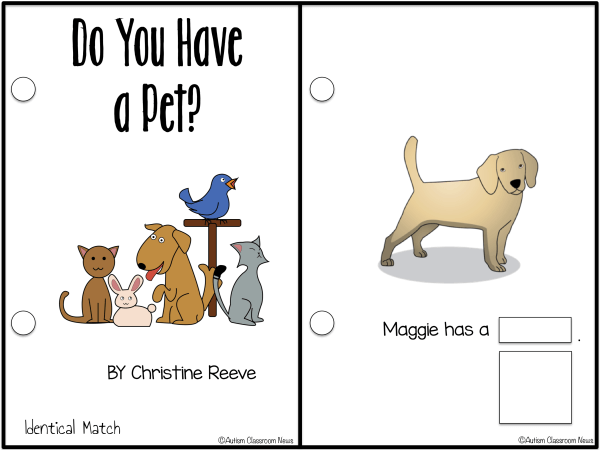 Do you have a pet? Interactive adapted books about pets