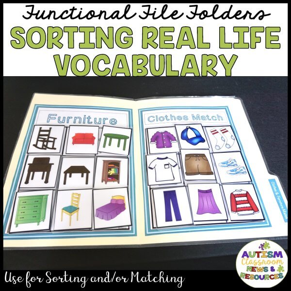 functional file folders games for special education Sorting real-life voacbulary