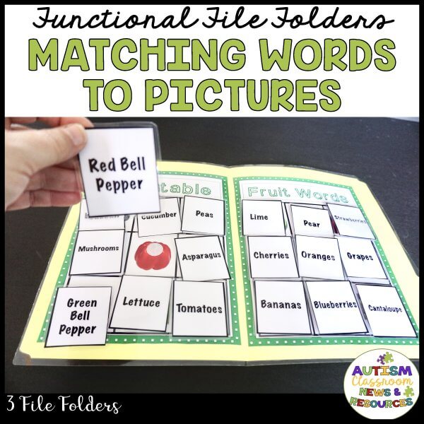 functional file folders games for special education Matching Words to Pictures