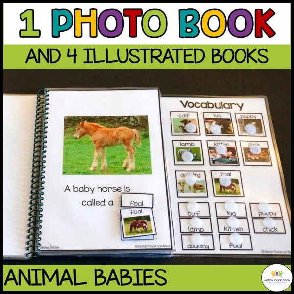 1 photo book and 4 illustrated books - interactive books