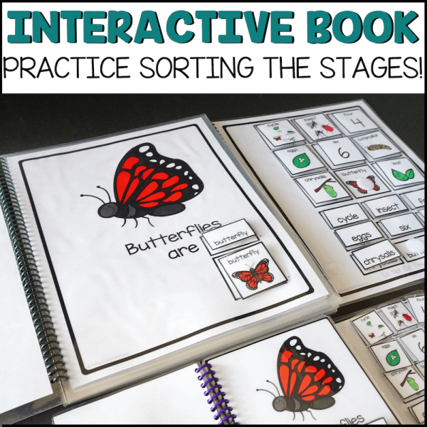 Interactive book practice sorting the stages. Picture shows book with a red butterfly and the ability for students to sort the stages.