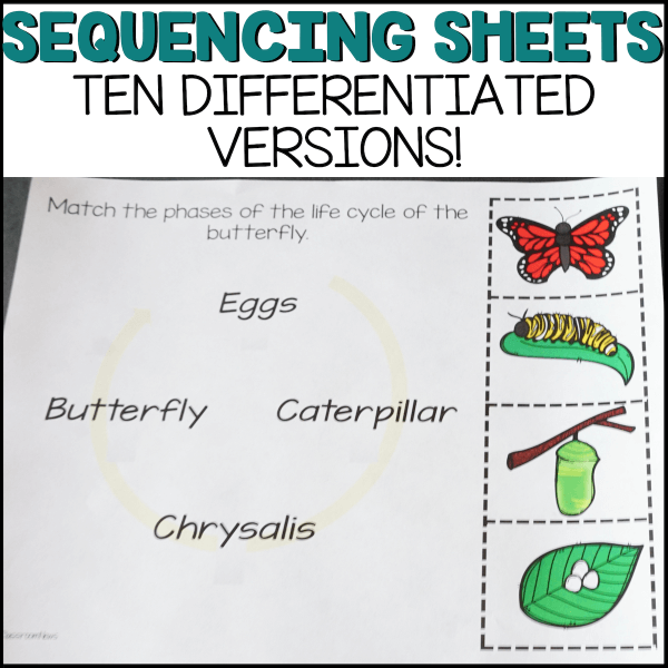 Sequencing sheets ten differentiated versions! Picture shows worksheet where students will cut and paste to sequence the stages.