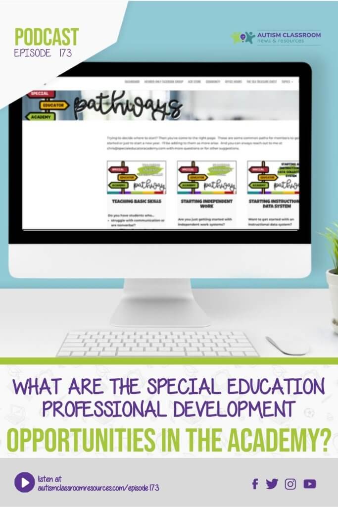 Special Education Professional Development in the Academy