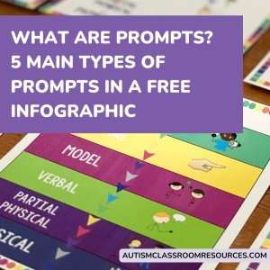 What are prompts? 5 Main Types of Prompts in an Infographic. Picture of a prompt hierarchy poster
