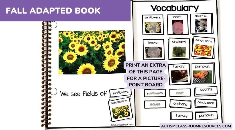 an interactive adapted book with matching words and pictures: Make an extra copy of the picture/word storage page and use it as a point board for participation