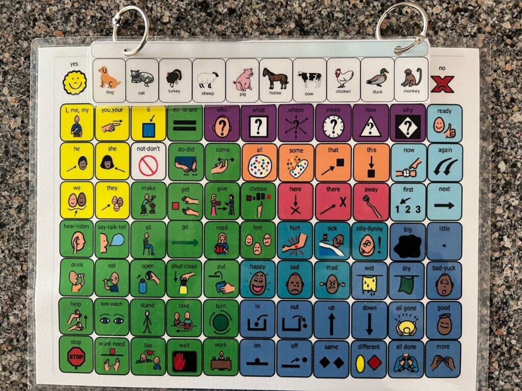 A laminated communication board with colorful symbol icons for words and phrases, arranged in a grid. The board uses images for emotions, actions, pronouns, and basic needs, held together with metal rings.